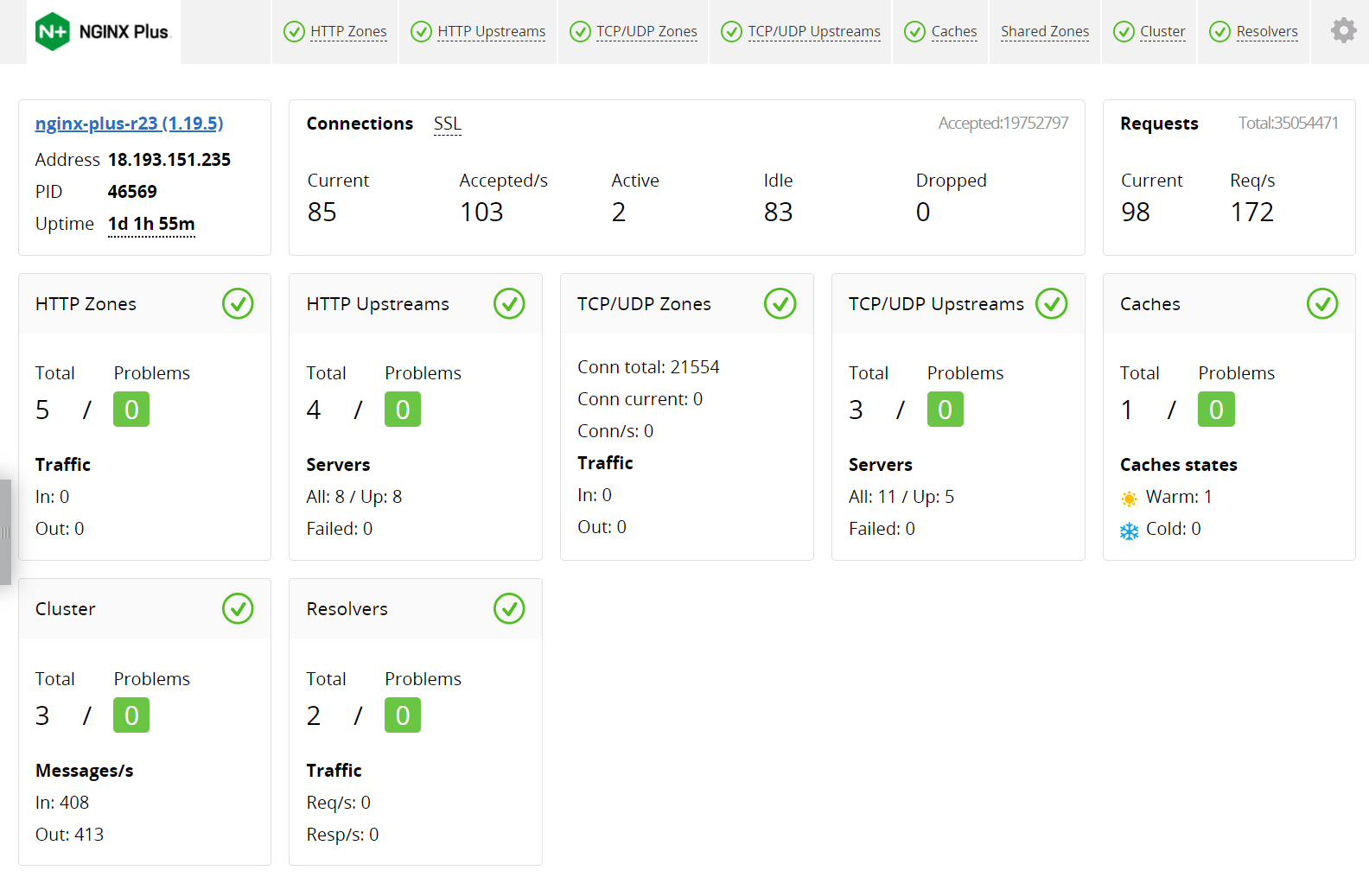 nginx-plus-dashboard-R23-overview