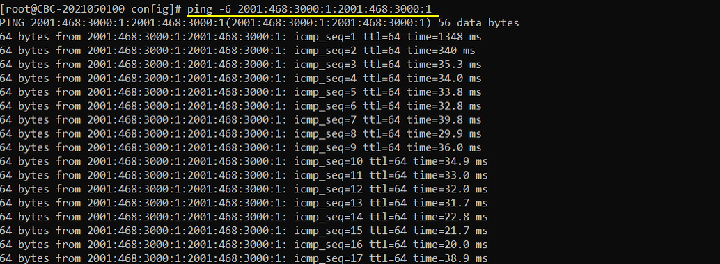 PingV6_Ping_01 PingV6_Ping_01
