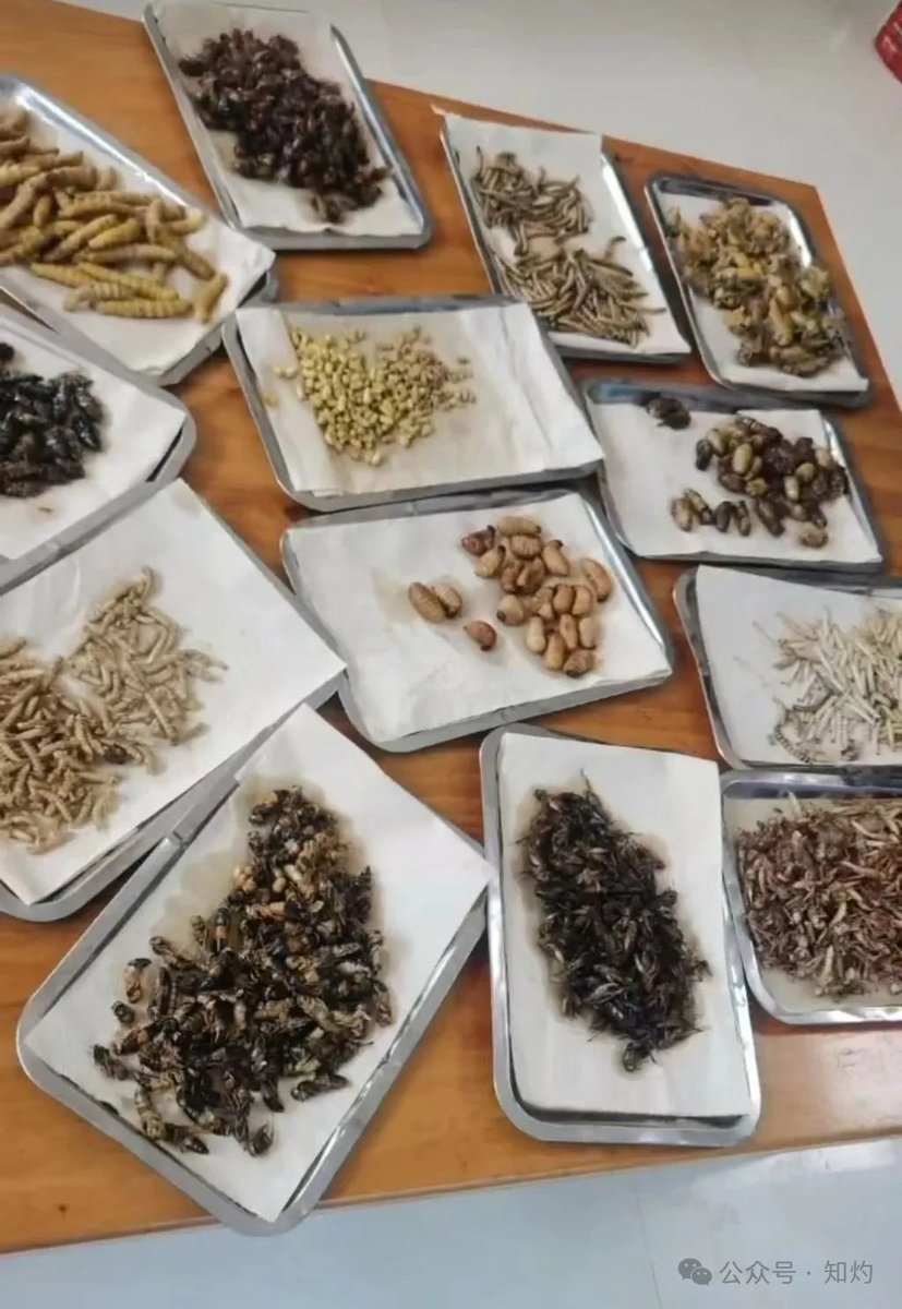 GvnRhCJWoAAV3FE GvnRhCJWoAAV3FE