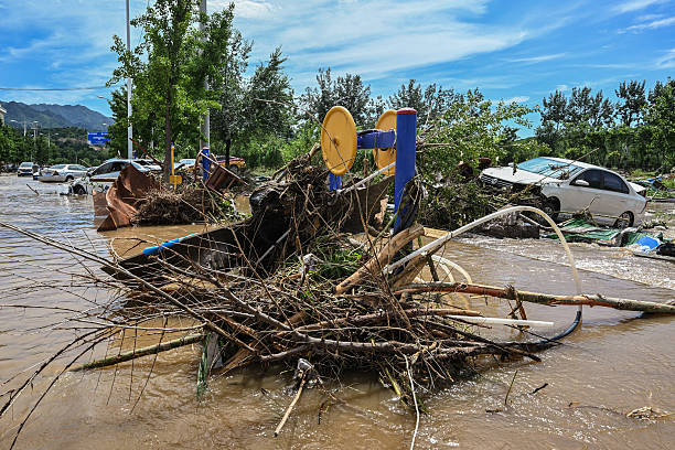 id104007505-gettyimages-2226864040-612x612-1