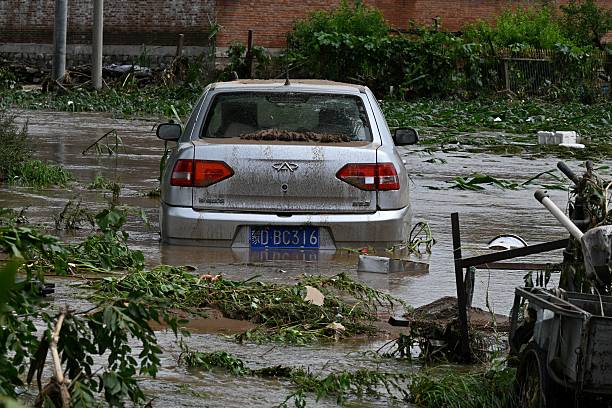 id104007511-gettyimages-2226867878-612x612-1