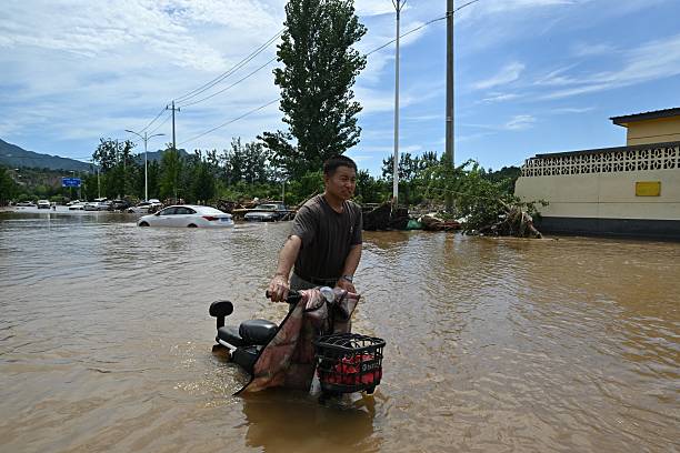 id104007512-gettyimages-2226867889-612x612-1