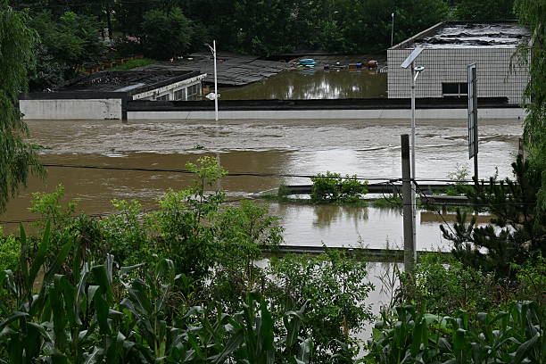 id104007515-gettyimages-2226875314-612x612-1