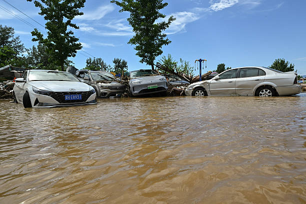 id104007517-gettyimages-2226875437-612x612-1