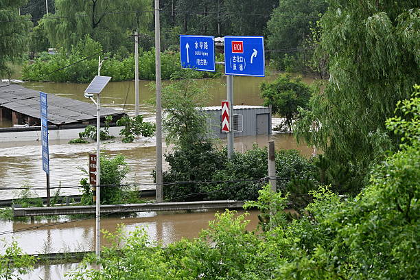 id104007519-gettyimages-2226875520-612x612-1