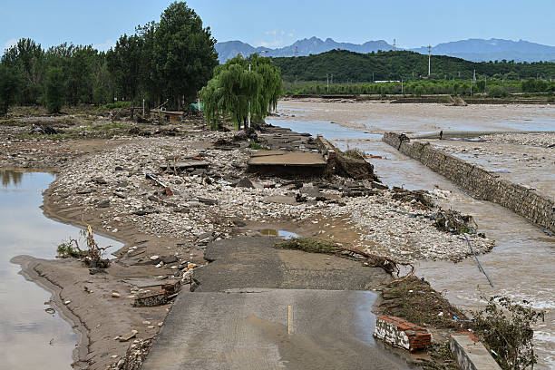 id104007521-gettyimages-2226875623-612x612-1