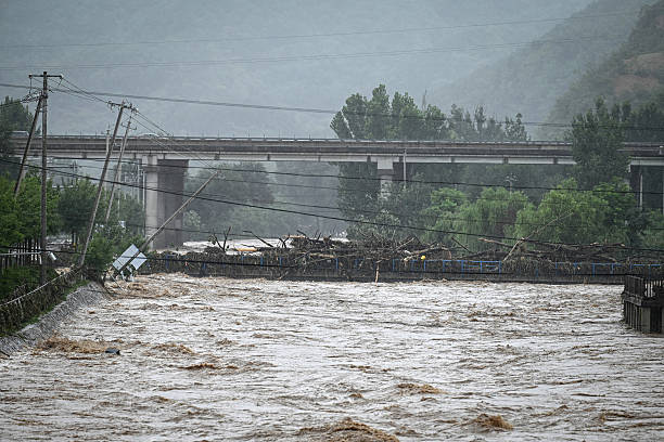 id104007522-gettyimages-2226704656-612x612-1