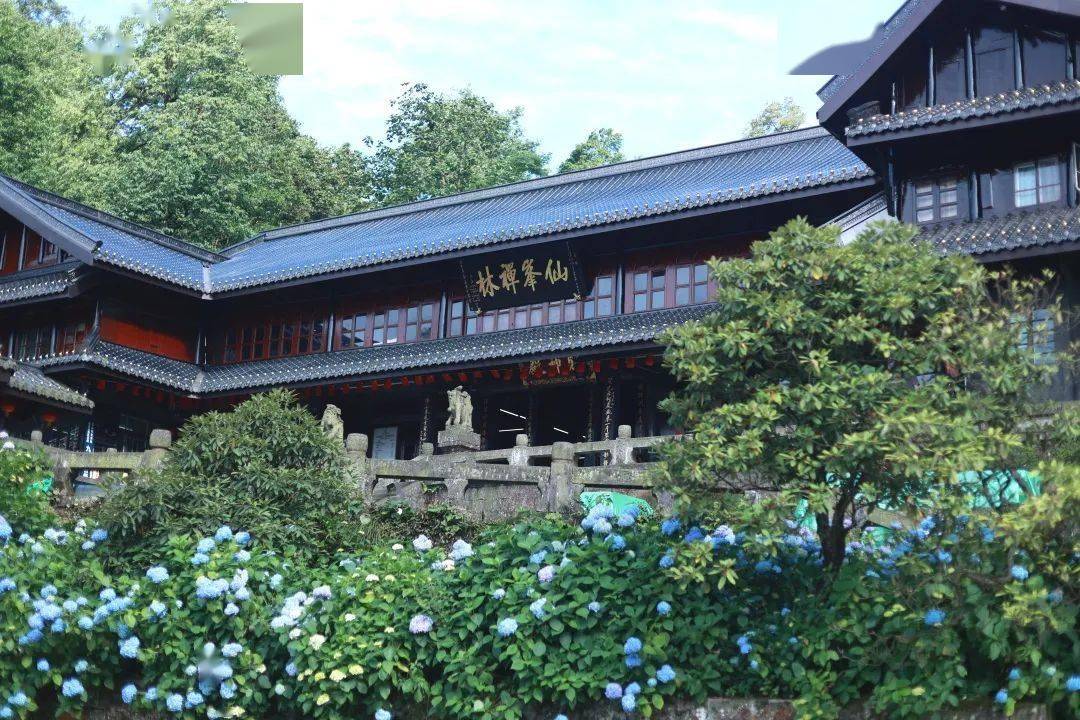 4e98606af6294af5b1ff0567a11e7cae