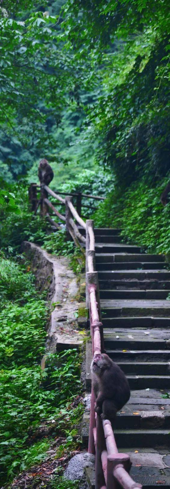 93da5de1d049444f93a0117a5c778cc9