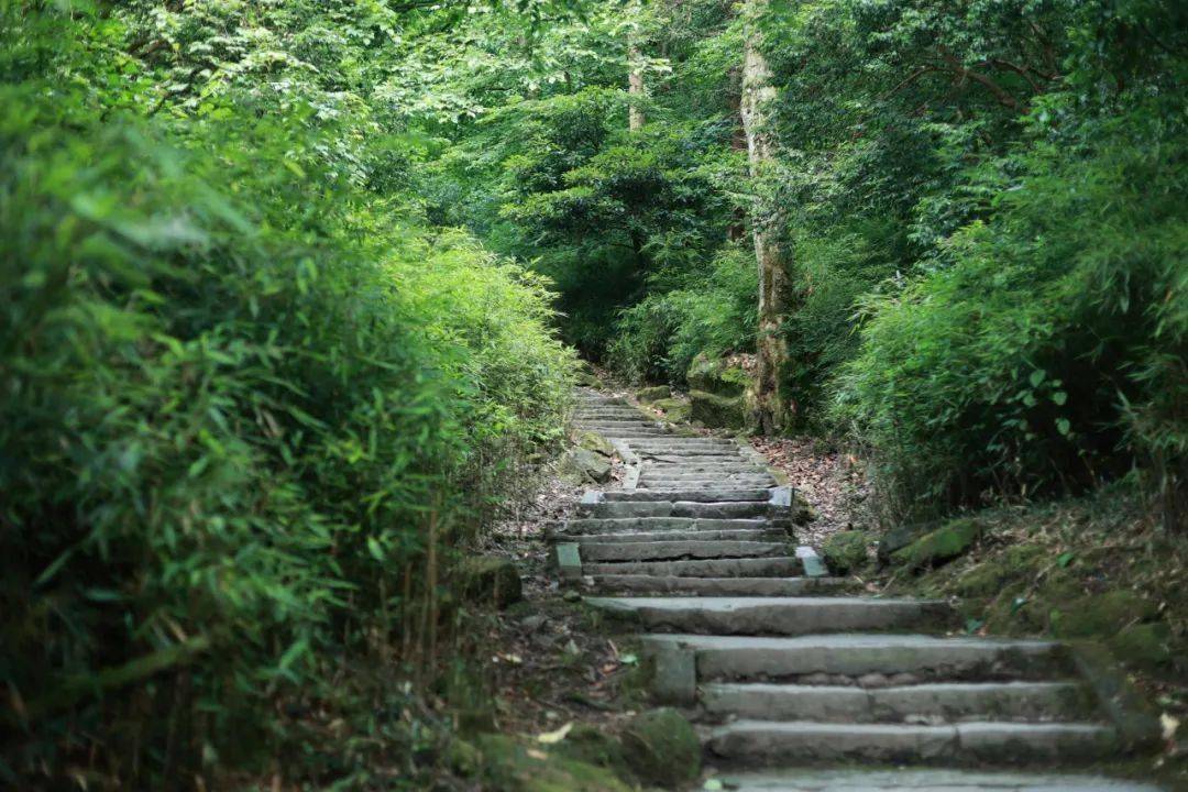 ce38d5d24e7c471ea5c096005e5cc550