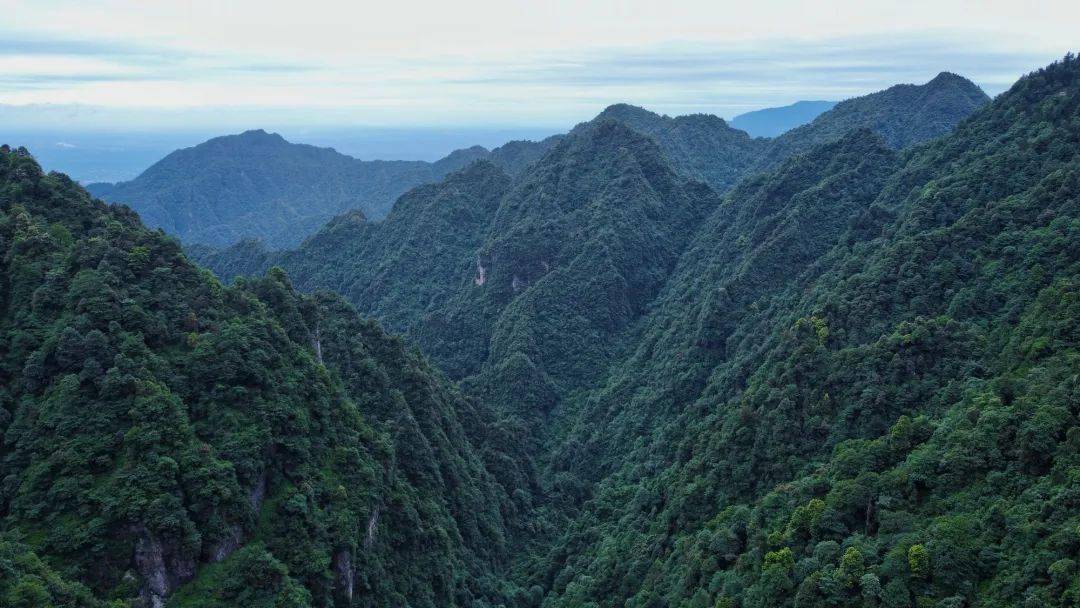 d58a481cc63f46db8f2eaa9a94bed21e