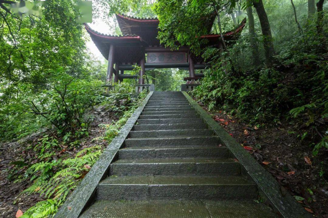 d5a153a8bec94bc4ae91a884bed88eeb