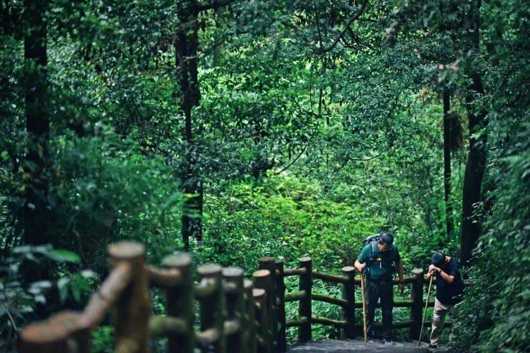 f5d5b387d8b64ca3a3bc67bbde1de43f