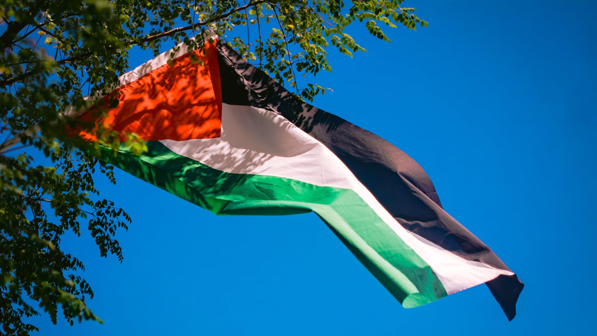 169-NEWS_Video-Thumbnail-47