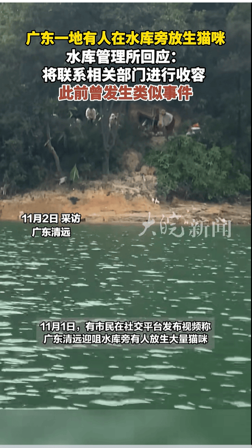 295f95e0a2814c5192d755df1b9f6a09 295f95e0a2814c5192d755df1b9f6a09