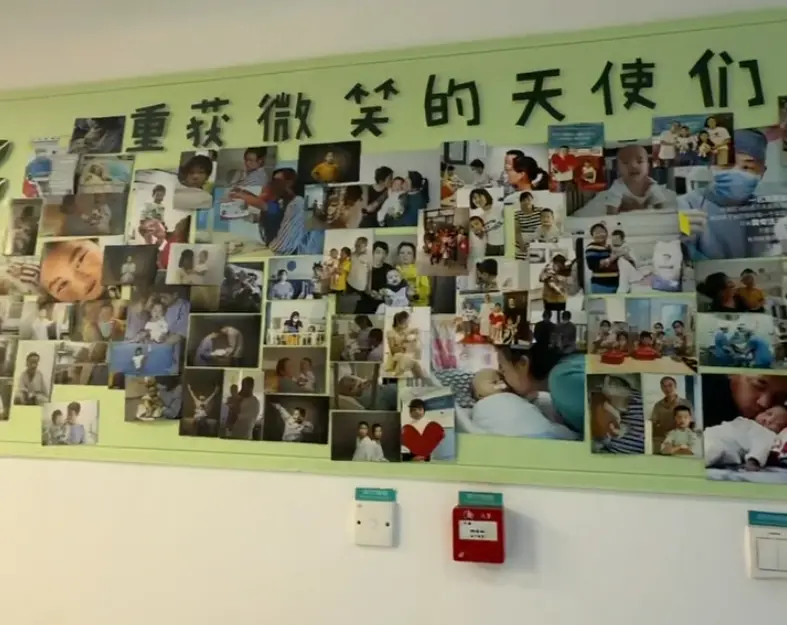 D3553A0A4E676CB8E16117D455EDE85BA81DD6ED_size505_w787_h625