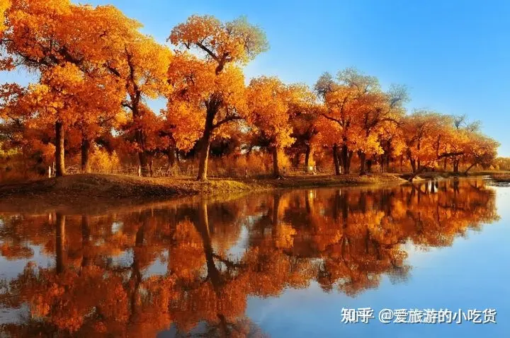 v2-3a13c0325e56214e80e893429ba8aff0_1440w